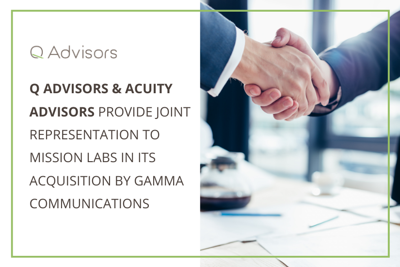 Q Advisors Gamma 2