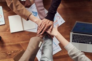 NetSapiens Partner Alliance Program