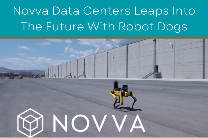 Novva's Robot Dogs