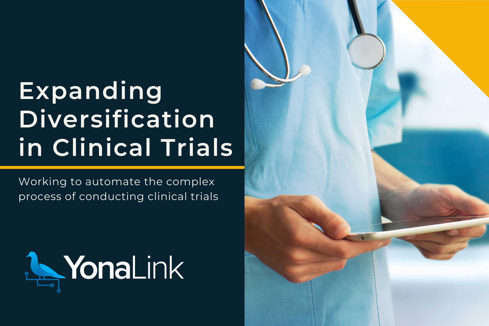 hernia free clinical trials hernia free clinical trials