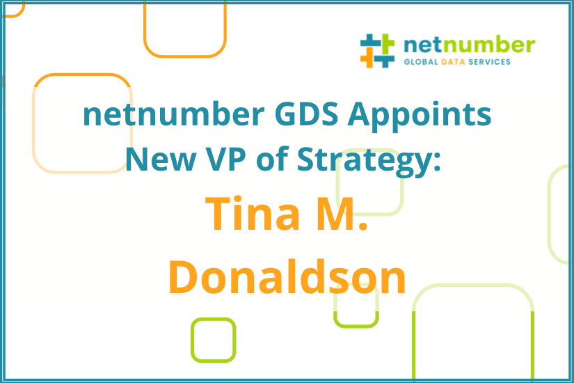 net number VP of Strategy