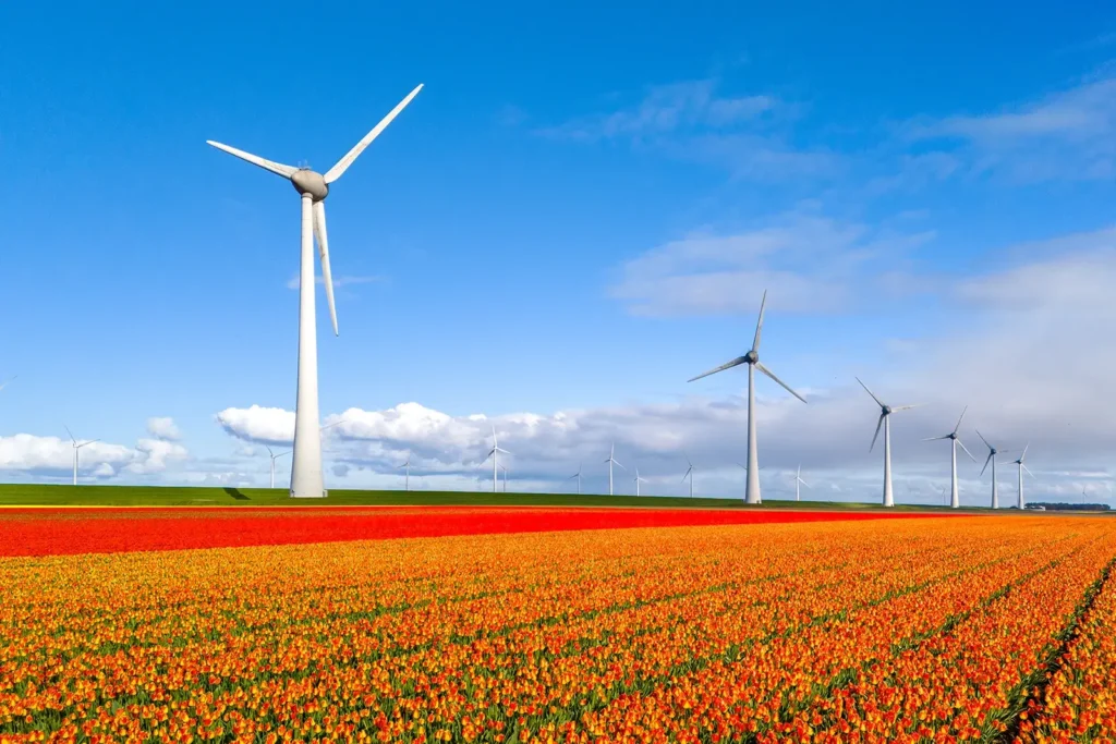 Switch Datacenters Launches Sustainability Report