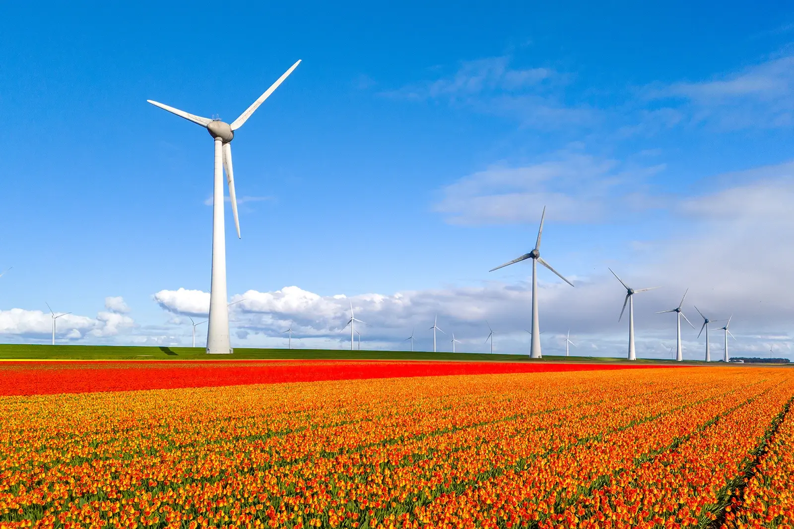 Switch Datacenters Launches Sustainability Report
