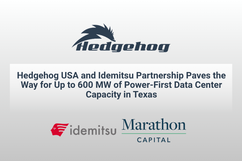 Hedgehog USA